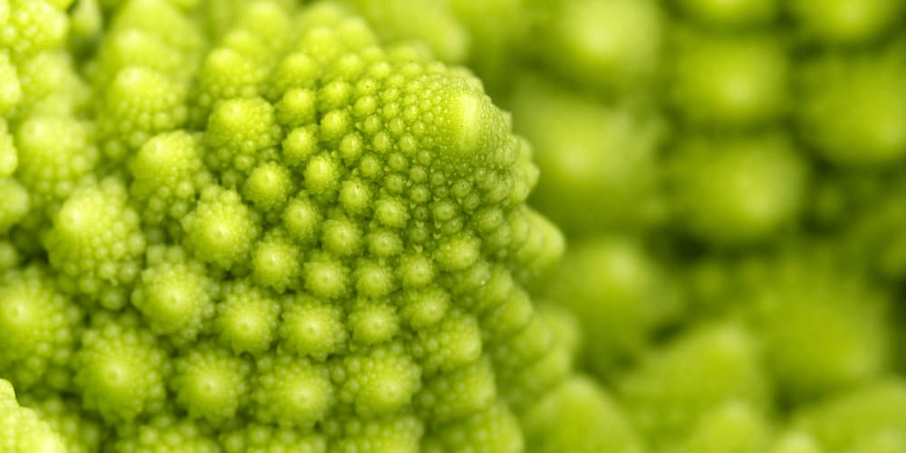 Romanesco broccoli