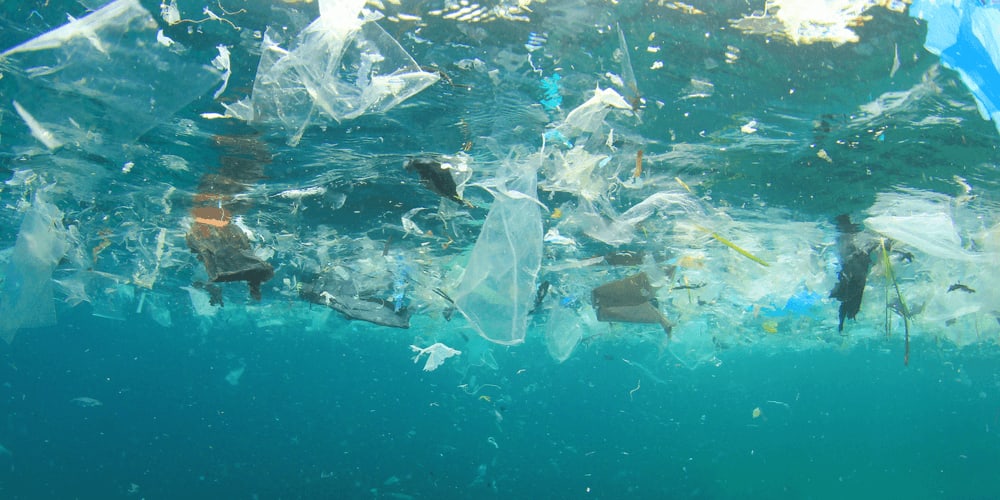 7 Biggest Threats to the World’s Oceans