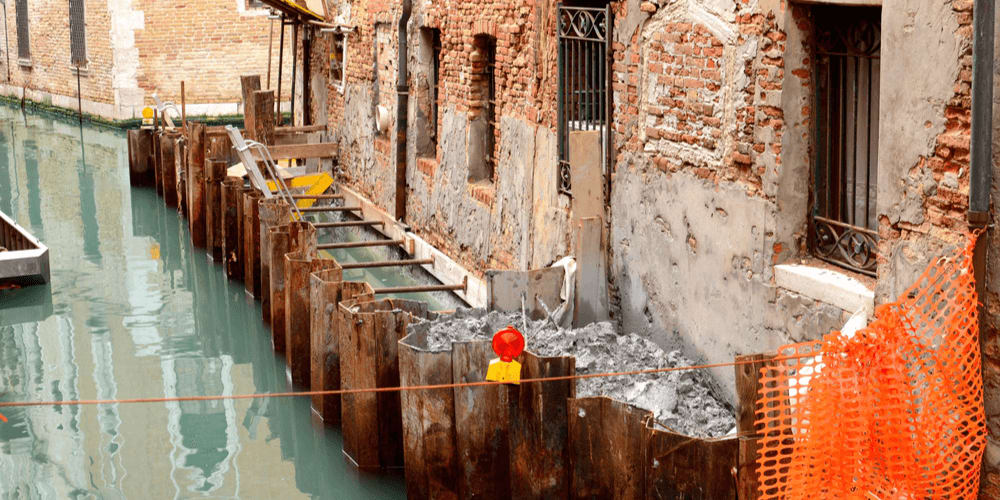 Venice stands on water, but it is built on trees!