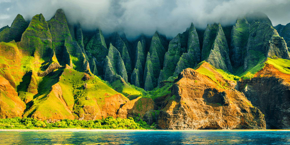 Heartwarming Hawaii