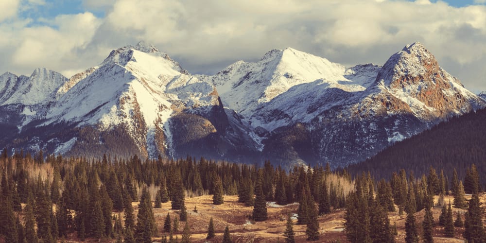 Cheery Colorado