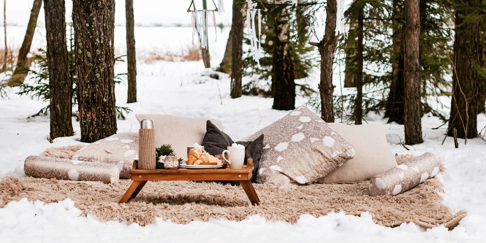 Take a few warm blankets, tasty sandwiches and hot soup in a thermos and go on a winter picnic.