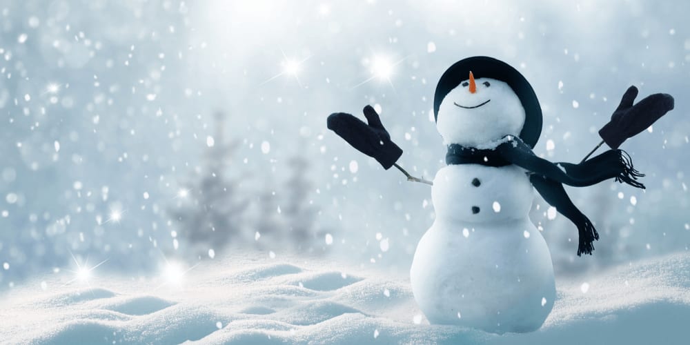 Build a snowman and decorate it with rocks, twigs and a warm scarf and hat to make it look absolutely real.