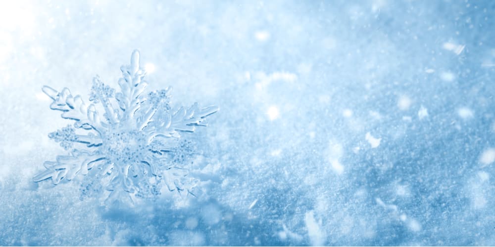 Watch the snowflakes fall.