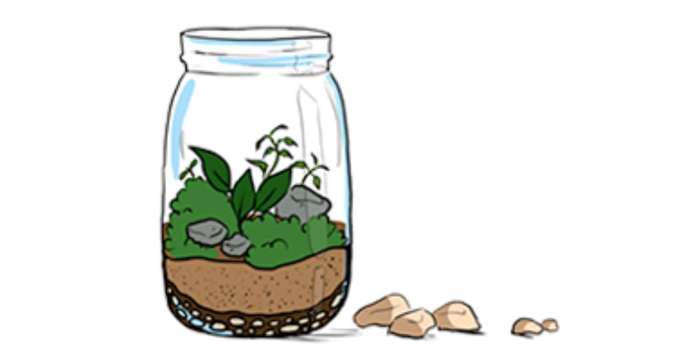 Science with Kids: Ecosystem in Miniature, Part 1