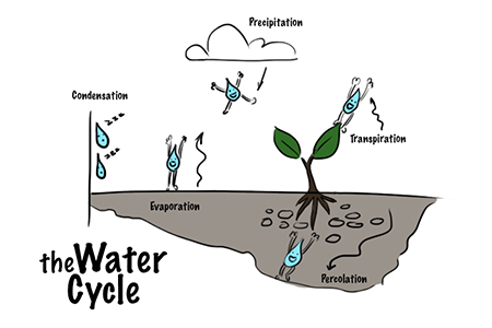 Fun scheme of the water cycle