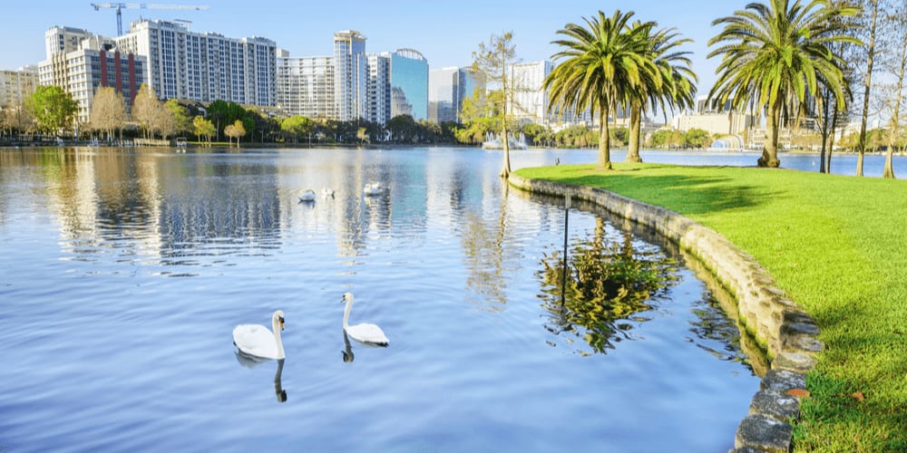 Fabulous Florida