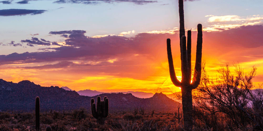 Amazing Arizona