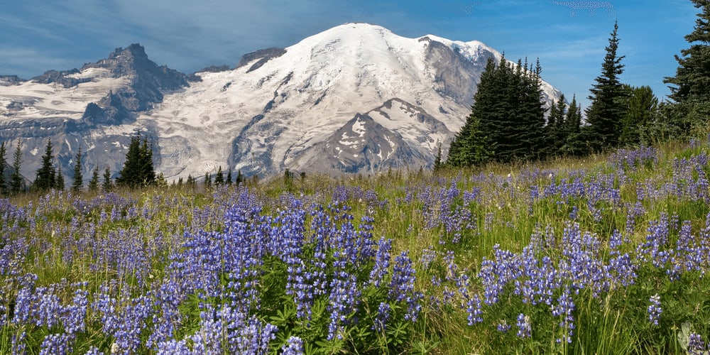 Mount Rainier National Park, Washington