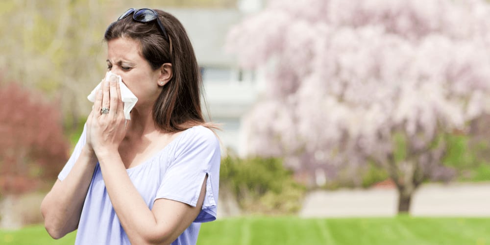 Spring is blooms... and also allergies!