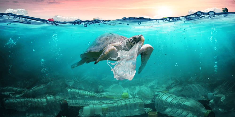 Step-by-Step Guide to Plastic-Free Life