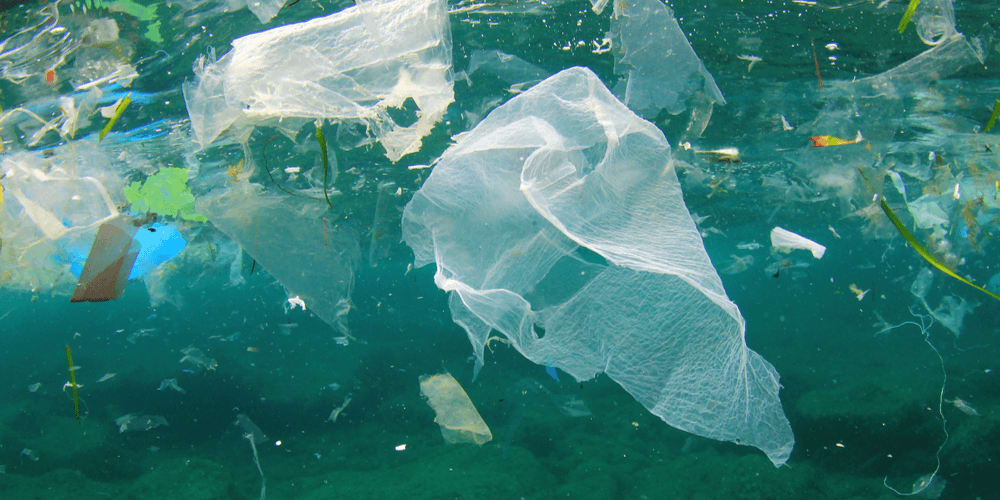 The plastic problem is too big to ignore