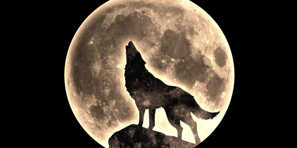 Full Moons of the Year