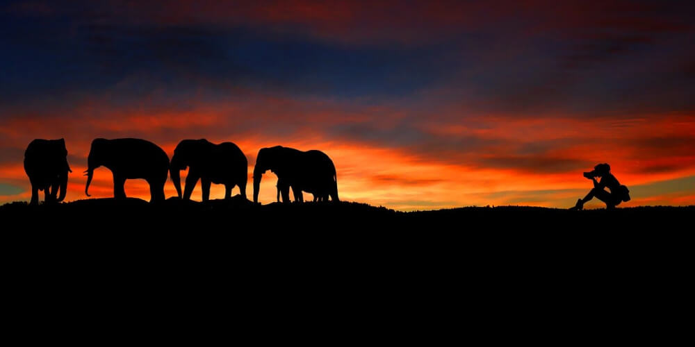 The Best Photos of National Geographic 2019