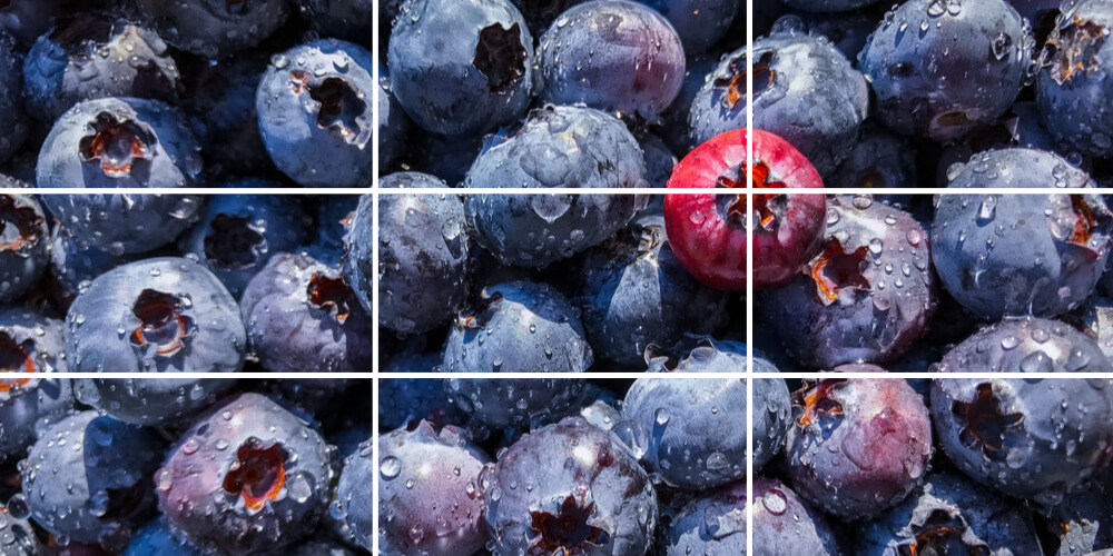 Rule of thirds works for macro photos made with an iPhone