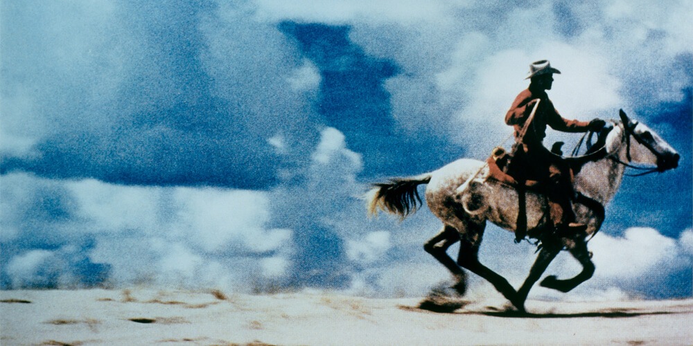 Cowboy by Prince