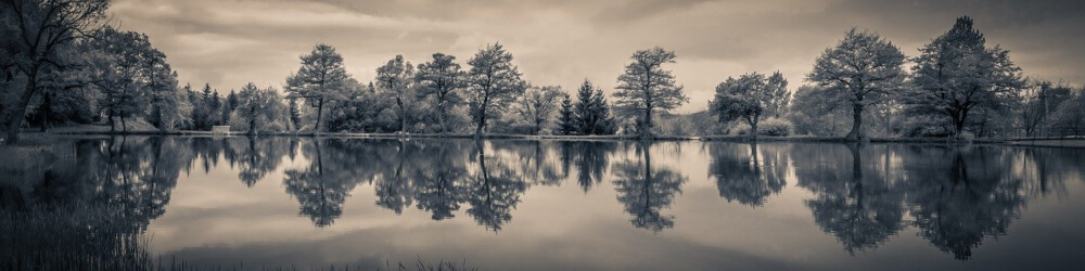 Good panoramas can be made my taking a lot of shots, not only with a super-wide-angle lenses