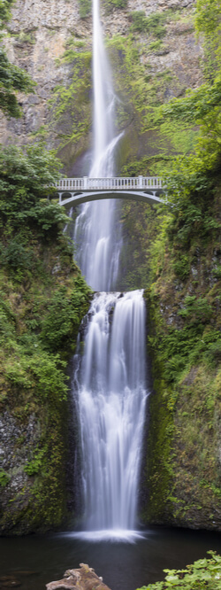 vertical panorama captures many details
