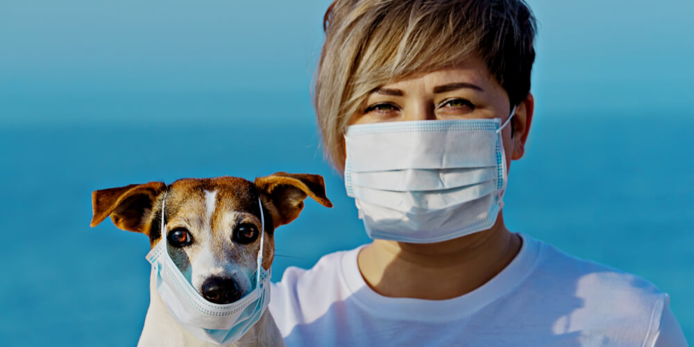 Woman and dog in masks