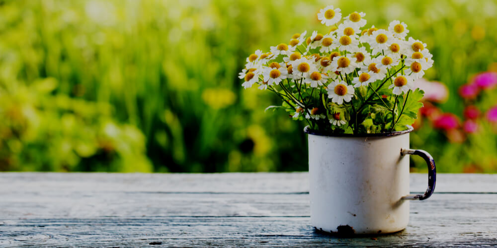 Flowers in a mug