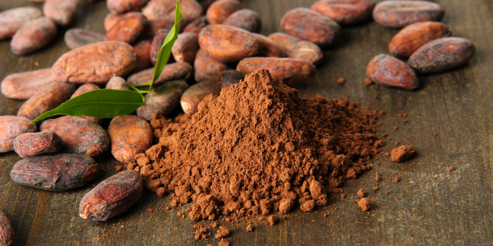 cocoa beans and cocoa powder