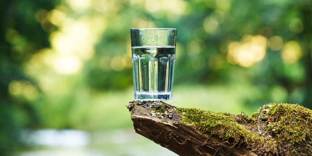 You Should Drink 8 Glasses of Water a Day: Fact or Fiction?
