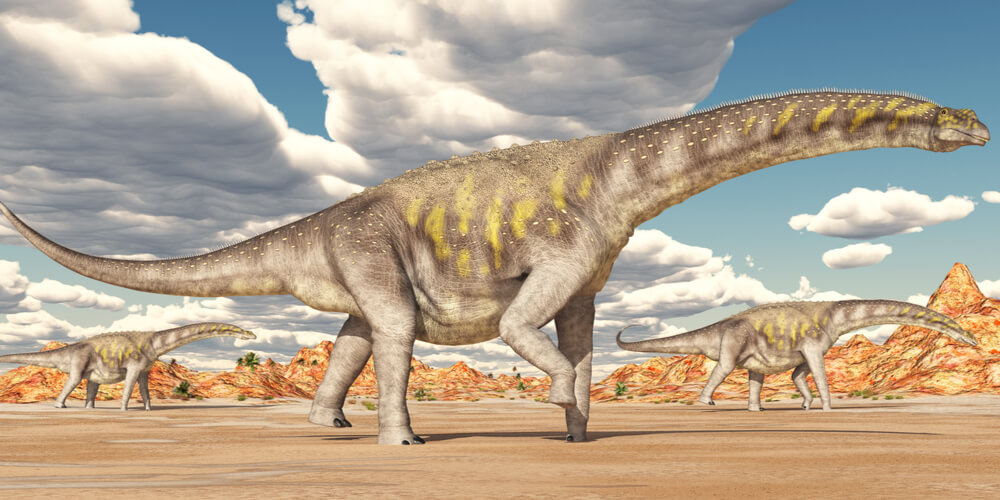 Argentinosaurus is another dinosaur found in Argentina, a 125-foot-high herbivore