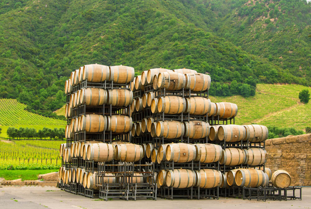 Stacked wine barrels in the winery, Chile