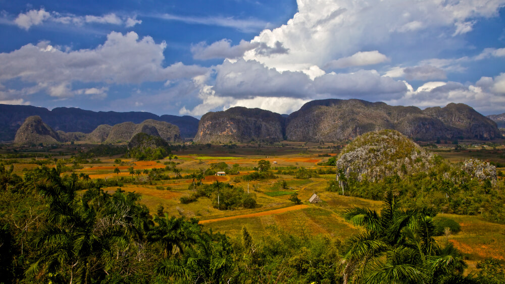 The Vinales valley in Cuba is a famous tourist destination and a major tobacco growing area