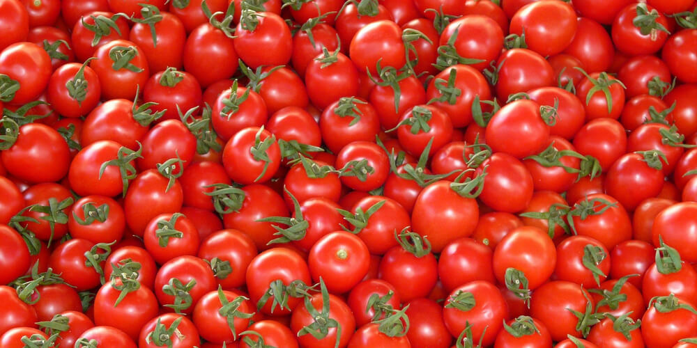 La Tomatina: the Furious Vegetable Fight