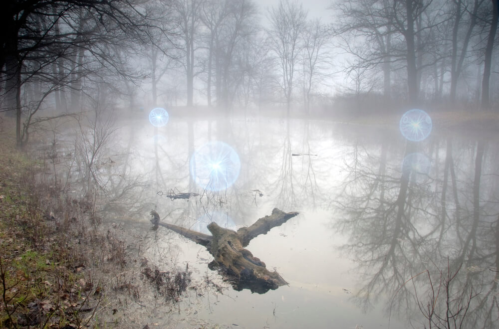 La Luz Mala is an evil light roaming the swamps of Uruguay and Argentina