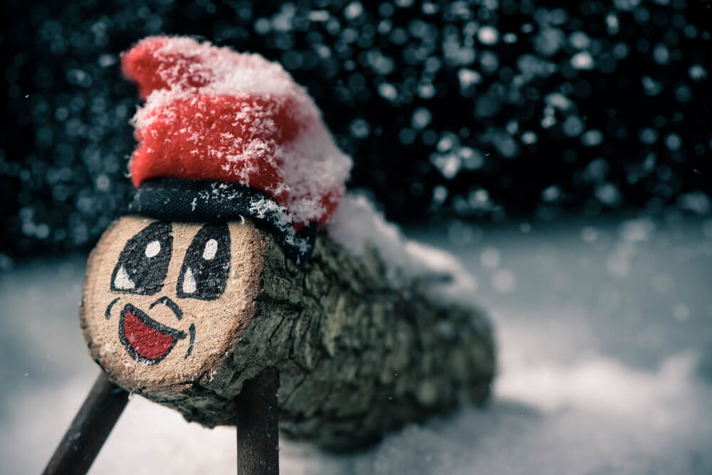 A handmade Tió de Nadal, a typical christmas character of Catalonia, Spain