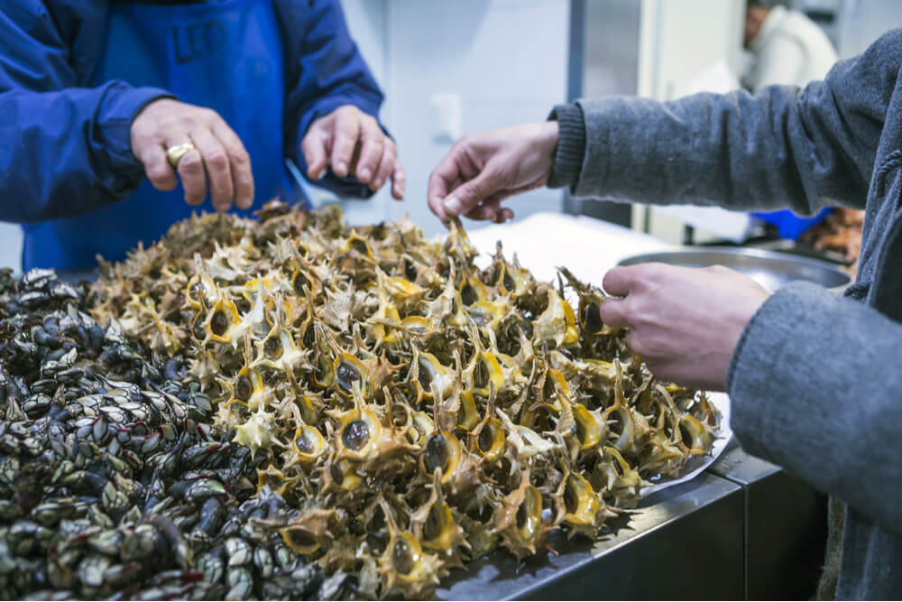 La Fiesta de los Mercados (Festival of Markets) is held in Cadiz, Spain on October 31.