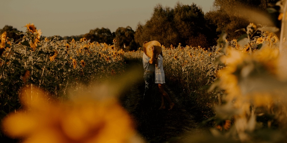 Romantic couple in a field of sunflowers