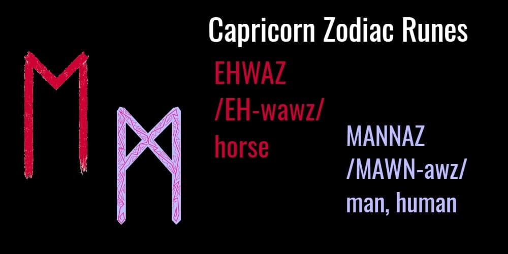 capricorn-runes