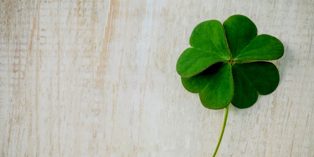 Clover with 4 leaves