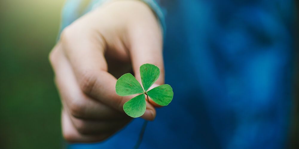 Boy holding a 4-leaves clover