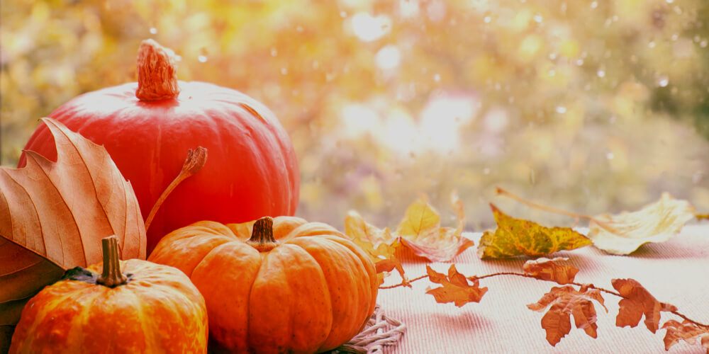 Pumpkins and rain