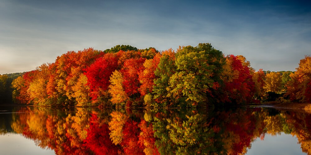 Multi-colored trees next to a lake