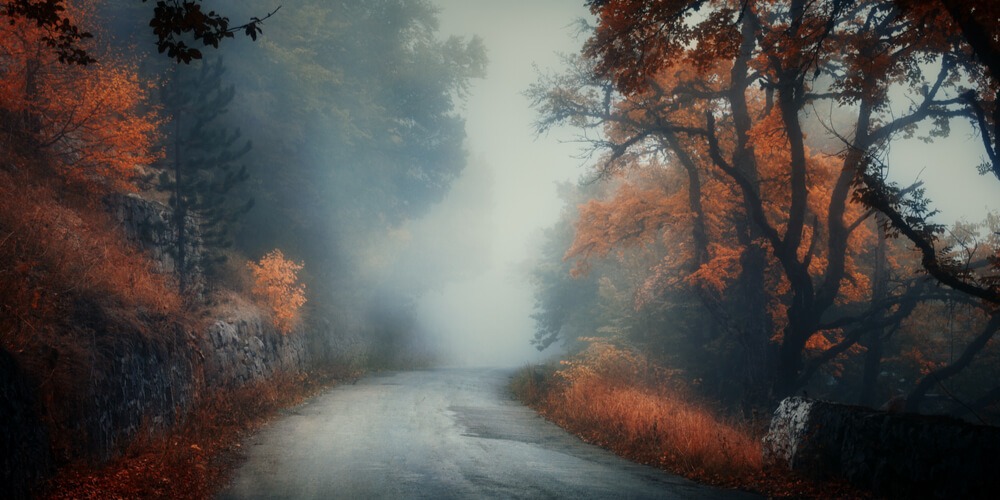 Dark foggy road in the fall