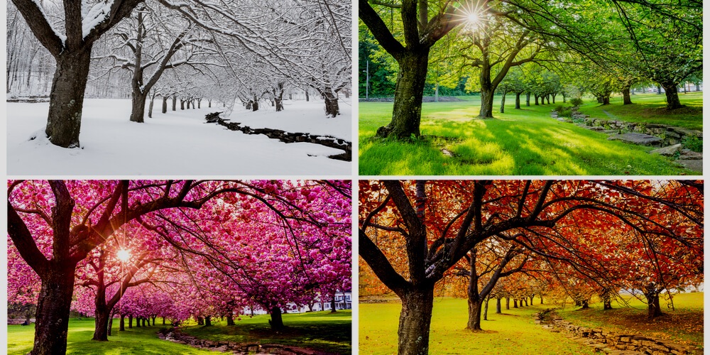 4 seasons