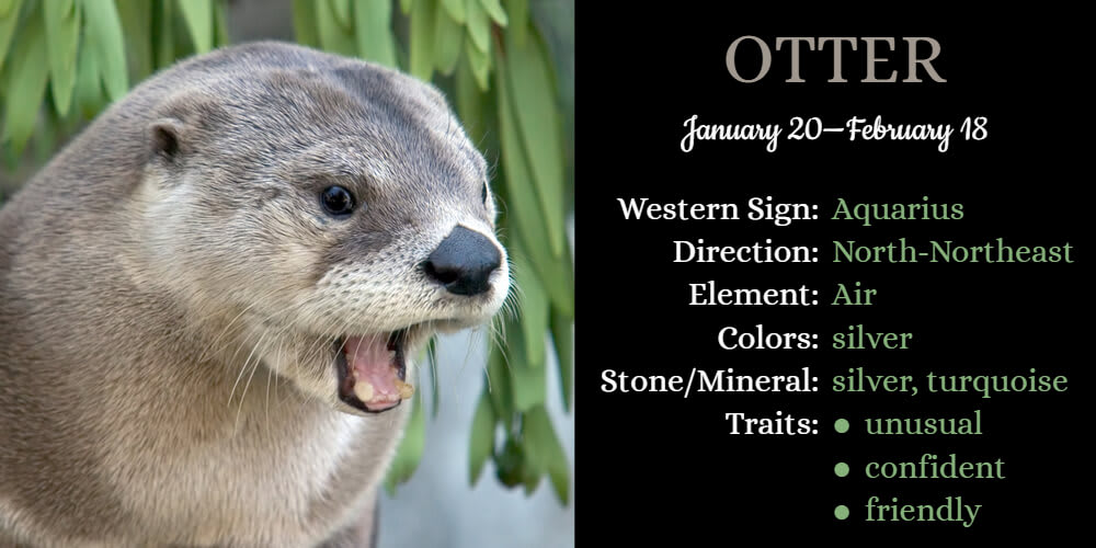 Native American Zodiac Animal for Aquarius is Otter