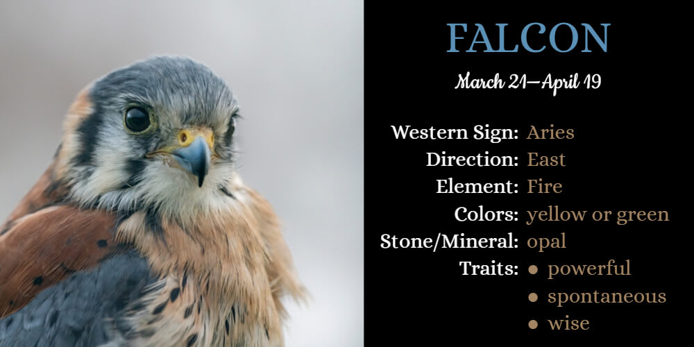 Native American Zodiac Animal for Aries is Falcon