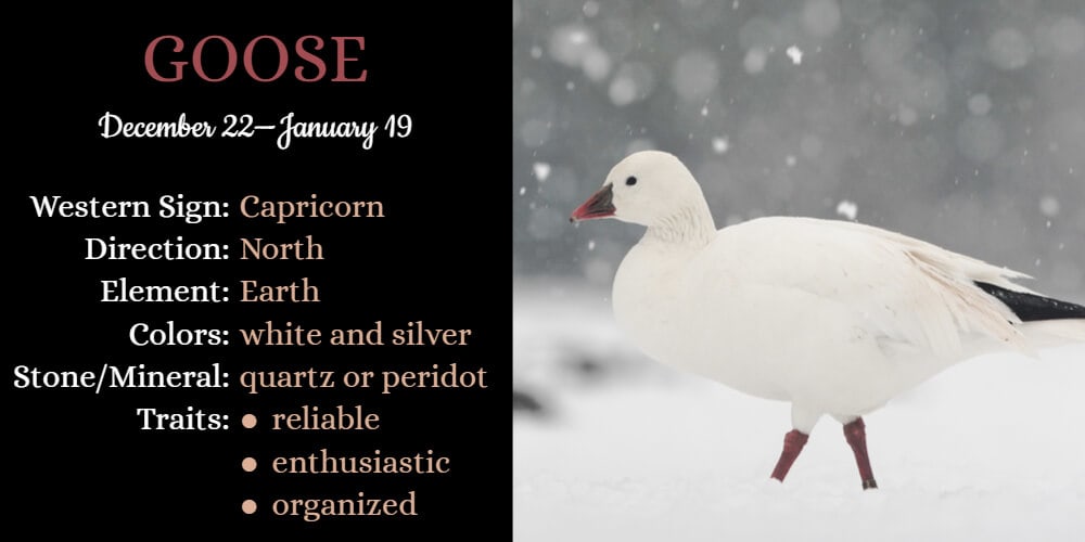 Native American Zodiac Animal for Capricorn is Goose