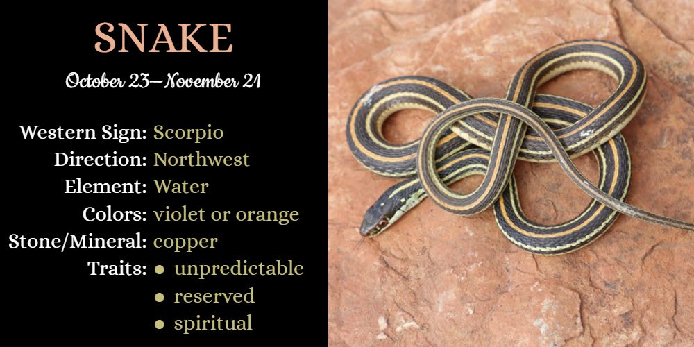 Native American Zodiac Animal for Scorpio is Snake