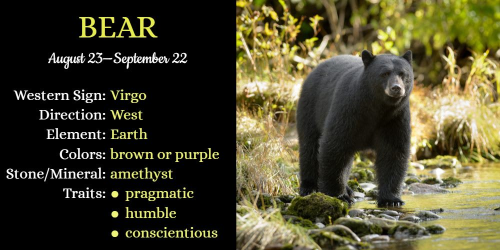 Native American Zodiac Animal for Virgo is Bear 