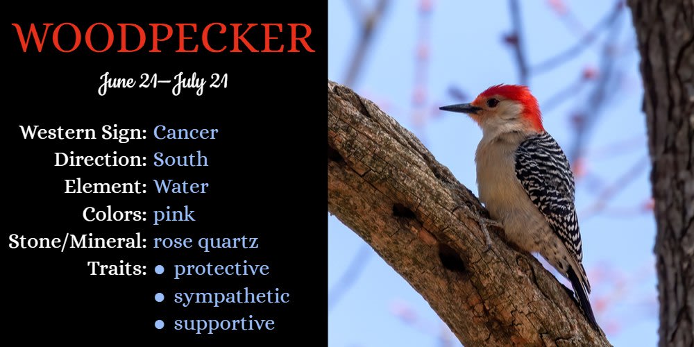 Native American Zodiac Animal for Cancer is Woodpecker