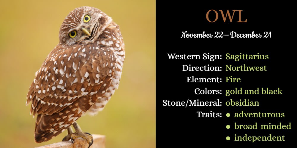 Native American Zodiac Animal for Sagittarius is Owl