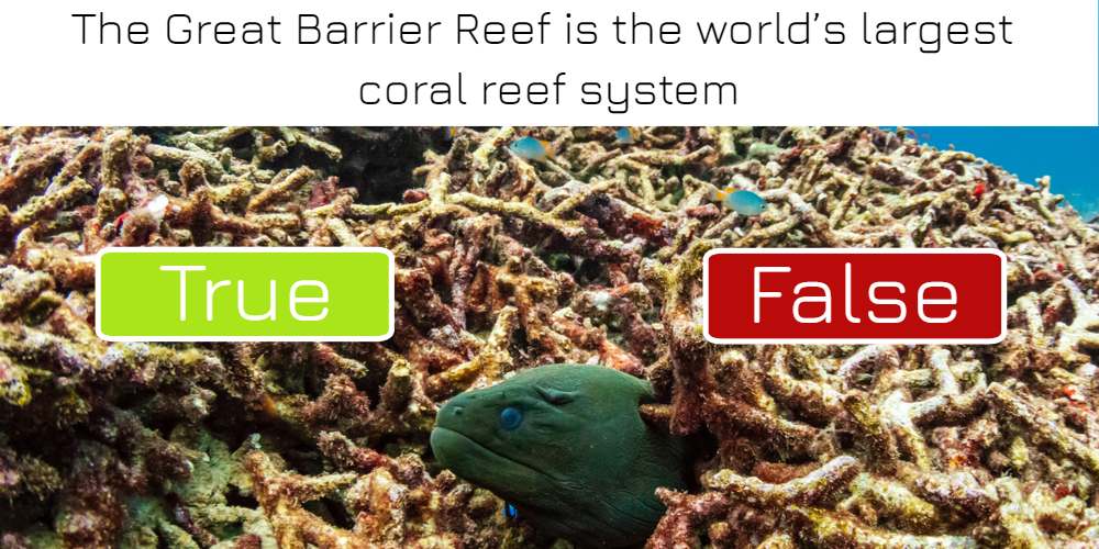 The Great Barrier Reef is the world’s largest coral reef system: true or false? Answer now!
