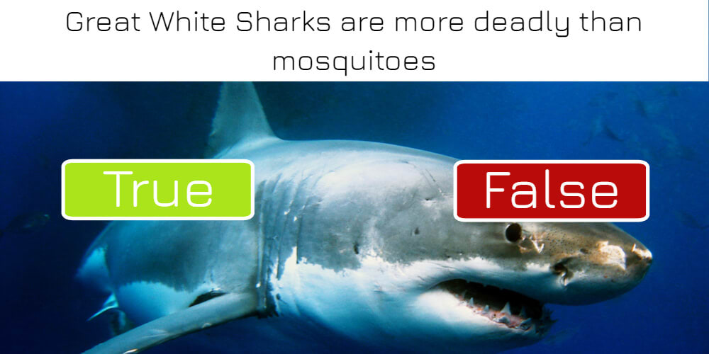 Great White Sharks are more deadly than mosquitoes: true or false? Answer now!